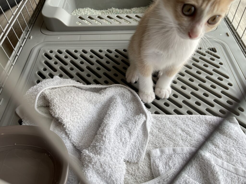 足についた砂を落とせるメッシュトレイ